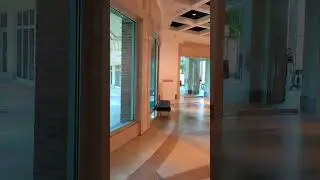 Cummer museum of art and gardens #florida #jacksonville #museum #travel #travelvlog #traveling