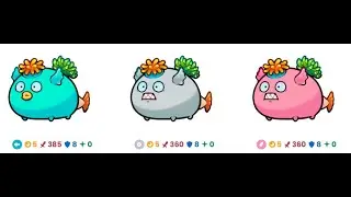 AXIE ORIGIN PROMAX ANEMONE WITH BOMBSHELL MAKER & FLOCK MIGHT OFF SEASON 7