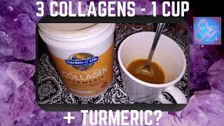GARDEN OF LIFE MULTI SOURCE I II & III COLLAGEN (TYPES 1 2 & 3) W/ TURMERIC & APPLE CINNAMON FLAVOR.
