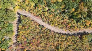 Bear Hill Loop Trail Bozrah CT