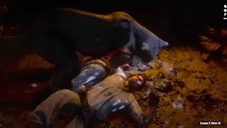 RDR2 - Cougar helped me complete the quest