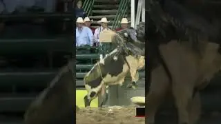 Tristen Hutchings, 90.5 points on Rosser Rodeo's Loguns Legacy