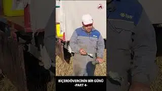 Bi&ccedil;erd&ouml;vercinin Bir G&uuml;n&uuml; - Part 4 #short #shorts #trakkulup