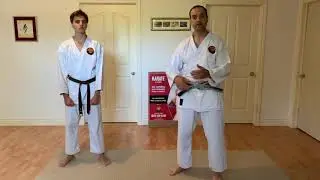#16: Palm strike and Aikido throw