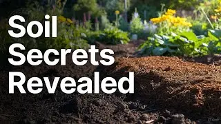 The Clay Soil Conspiracy: Ancient Fixes Modern Gardeners Forgot