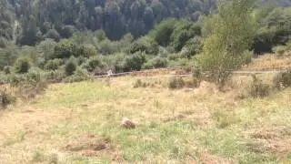 Slovakia 2015 ISDE, Kojsov test.