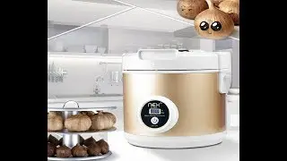 NEX Black Garlic Fermenter