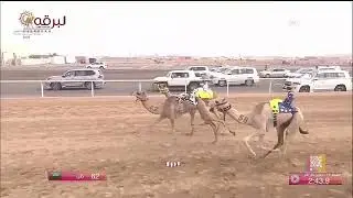 ش11 معالي لـ سالم سعيد ناصر دلهم الهاجري (مهرجان ولي العهد بالسعودية 25-8-2022) حقايق بكار 3:02:23