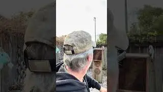 ПОВЕСТКА ДНЯ НА СУББОТУ!