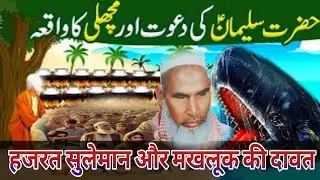 Hazrat Suleman علیہ السلام Ki Allah Ki Tamam Makhlouq Ko Dawat | Hairat Angaiz Waqia / qari haneef 