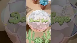 Desert Sage Collection Overview