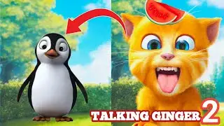 GINGER TRIED TO PRANK A PENGUIN🐧 Talking Ginger 2 FUNNY GAMEPLAY REACTION! 💯😂🙀