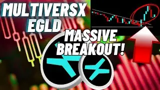 Massive Breakout Of MultiversX (EGLD) Crypto Coin