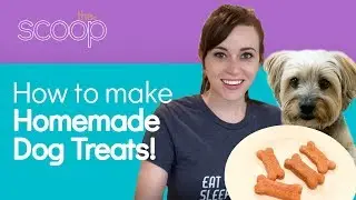 Baking Homemade Dog Treats | The Scoop