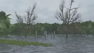 The difference between Hurricane Florence and Typhoon Mangkhut