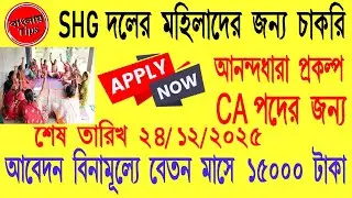 স্বপ্ন পূরণে অদম্য লড়াই: স্বনির্ভর দলের মহিলা আজ CA | Paschim Medinipur | Post of Community Auditor
