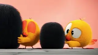 A fantasia da Chicky | Onde está Chicky? | Pintinha amarelinho | Coleção desenhos animados Infantil
