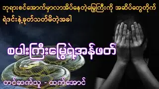 စပါးကြီးမြွေရဲ့အန်ဖက် ပရလောက အသံဇာတ်လမ်း #htetaung #ထက်အောင်