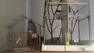 How I made from this small cage to the biggest one only 7&euro; Handmade