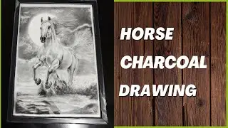 Horse Charcoal Sketch |  Charcoal Drawing Process