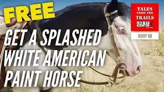 🗣 RDR2: Where to find Splashed White American Paint Horse - Uncommon - 1080p HD