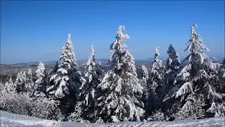 Winter Secrets