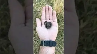 From Small to HUGE! Watch the Transformation!