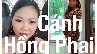 C&aacute;nh Hồng Phai - Mẹ Hippo Cover