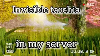 Invisible hacker new hack in cursed isle 💀