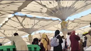 madina munawara se live