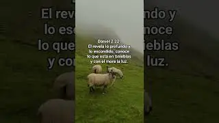 Daniel 2:22.#daniel2:22 #jesus #versiculobiblico #cristoestodoloquenecesitas #biblia