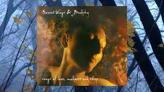 Brodsky - Run
