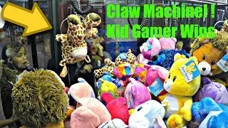 CLAW MACHINE WINS: Sugar Loaf Toy Shoppe & Sugar Loaf Crane Machine Pagoda: Many Plush Toys WON