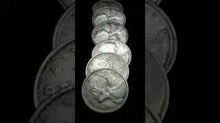Canadian Silver Quarter Finds #shorts
