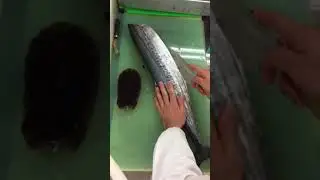 サワラをさばいているところ〜 神経使います〜