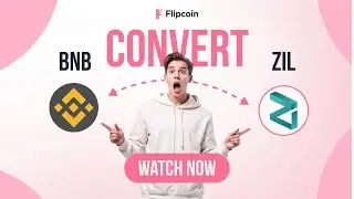 How to Convert BNB to ZIL Instantly | Fast & Secure Crypto Swap on Flipcoin.exchange