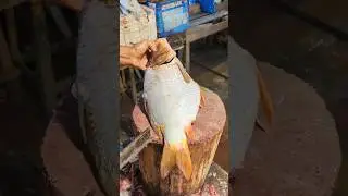 Live Giant Golden Carp Fish Cutting Skills In Bangladesh local fish Market #shorts