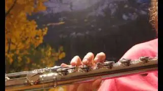 Di Zhao Bass Flute Low Register- Free Shipping in the US w/ Phone Orders