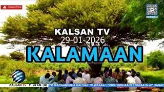 Wararka Telefishinka Kalsan Tv By: Faysal Cabdi faarax 31-01-2026.