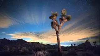 Joshua Tree Sunset to Moon Rise to Sunrise Time-Lapse 4K HD