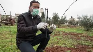 FAO Representative in Syria on the challenges & solutions applied to support Syrian farmers