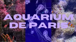 A Relaxing Tour of the Paris Aquarium