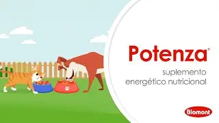 Suplemento energ&eacute;tico nutricional 🐶🐱 | Potenza&reg;