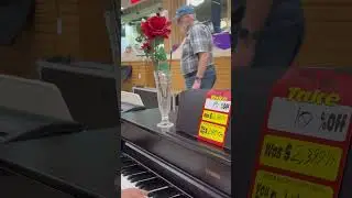 NGO Plays &ldquo;Love Story&rdquo; at Sam Ash Music Store #shorts #lovemusic