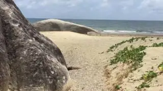 Finch Bay