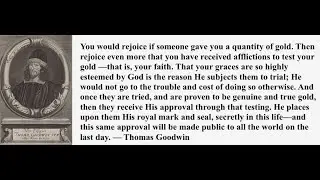 Introduction to Patience, Its Perfect Work Enduring Sudden, Sore Trials with Joy, by Thomas Goodwin.