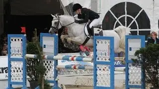 Al Ashar Vollblutaraber L-Stil Springen - Arabian Horse - Show Jumping