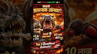 Who is the most dangerous animal? #shortvideo #facts #youtubeshorts #animals