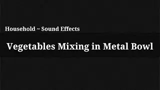 Vegetables Mixing in Metal Bowl / Sound Effect