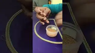 Zariwork training gold colour beats